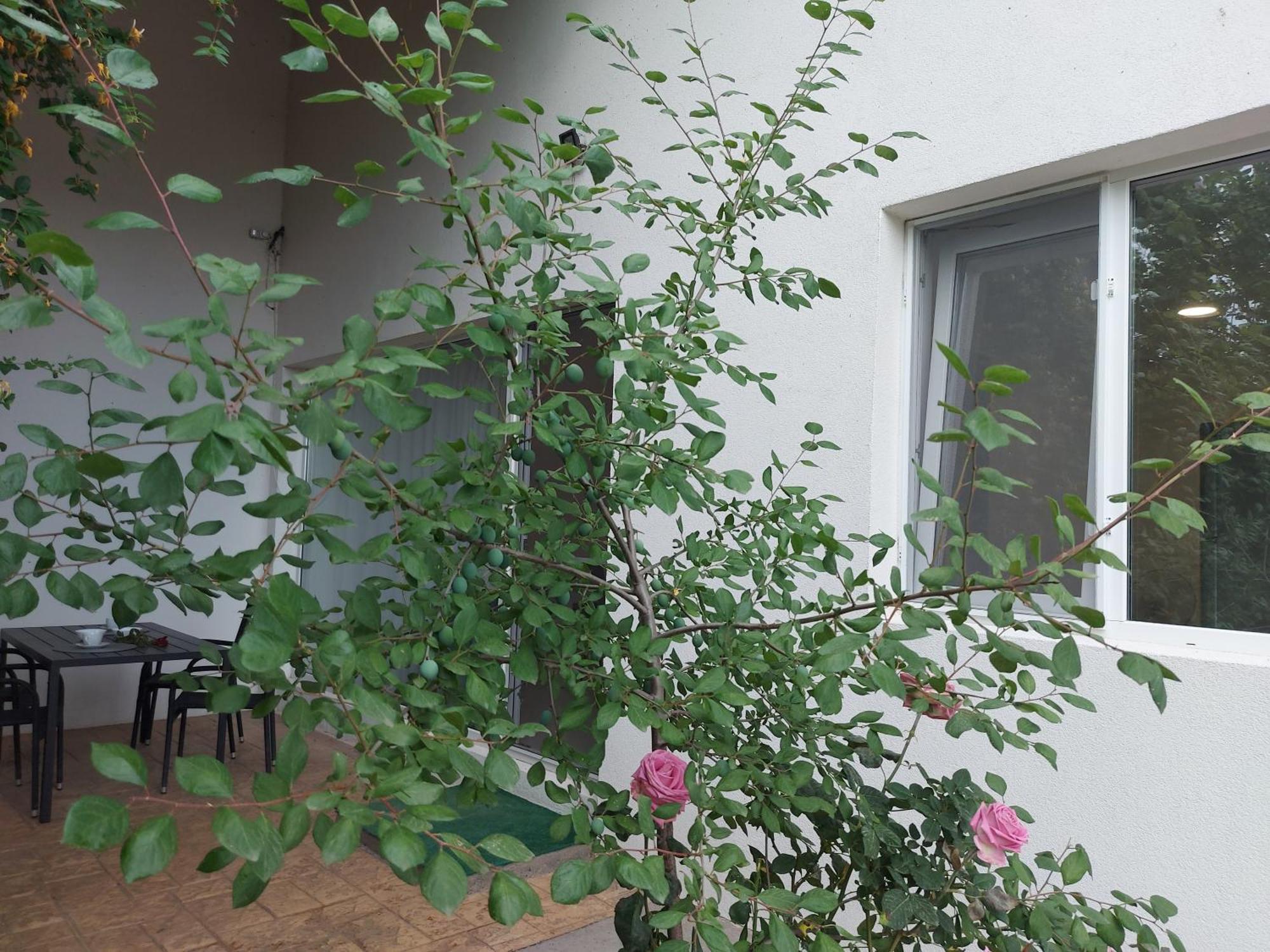 ואדו Villa Romelia - Select Apartments מראה חיצוני תמונה